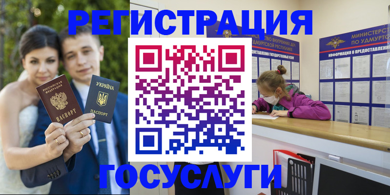 прописка поиск в Сельцо